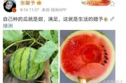 吃瓜娱乐圈瓜